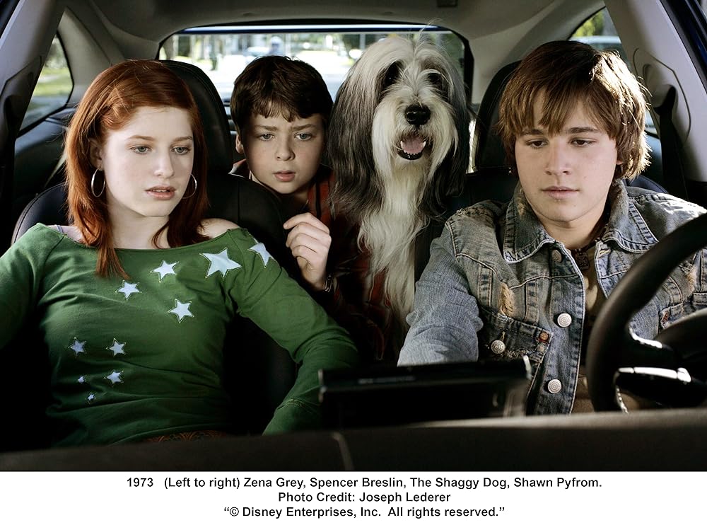 シャギー・ドッグの画像