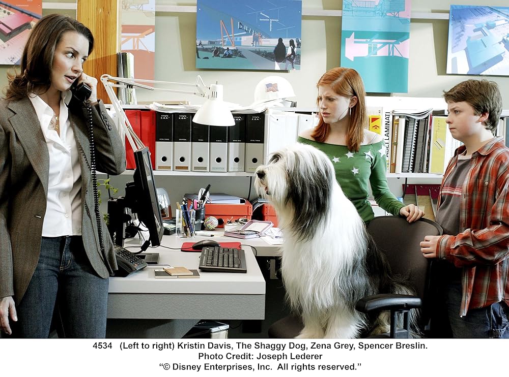 シャギー・ドッグの画像