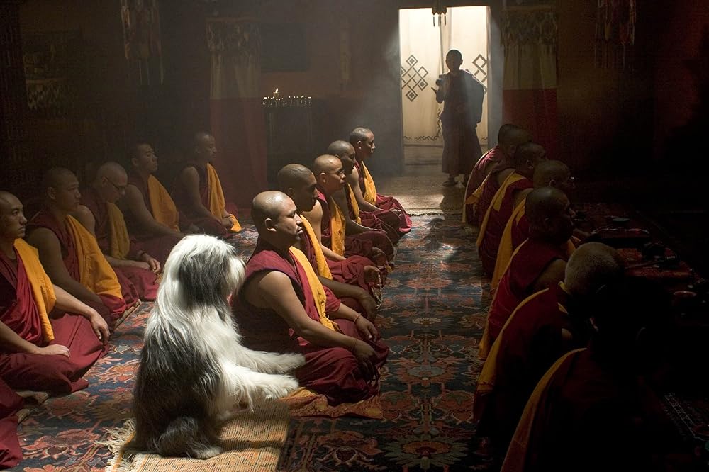 シャギー・ドッグの画像