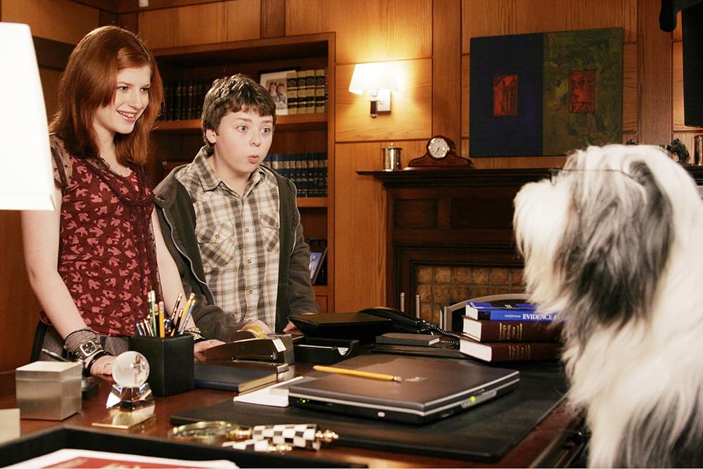 シャギー・ドッグの画像