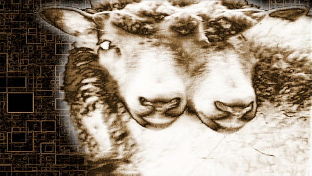 ナコイカッツィの画像