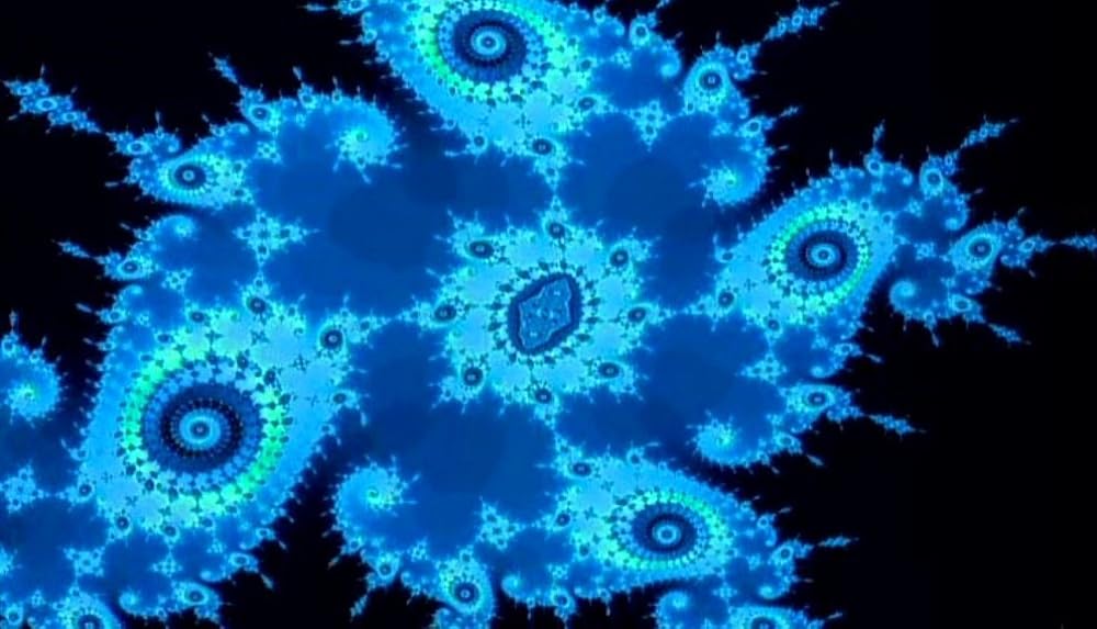 ナコイカッツィの画像