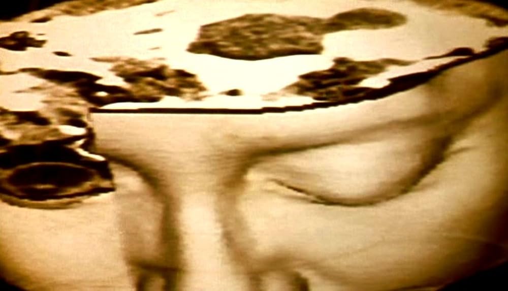 ナコイカッツィの画像