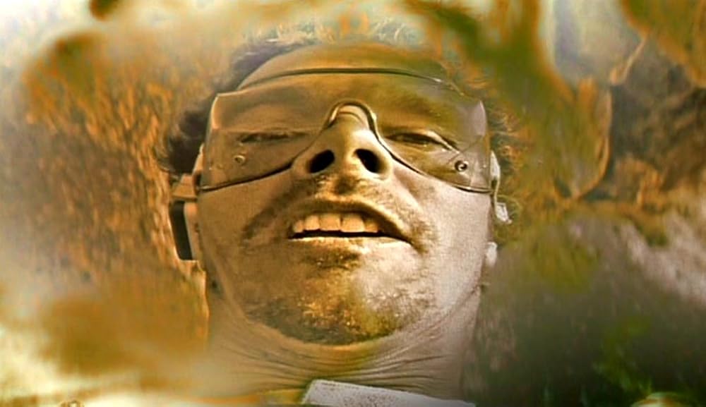 ナコイカッツィの画像