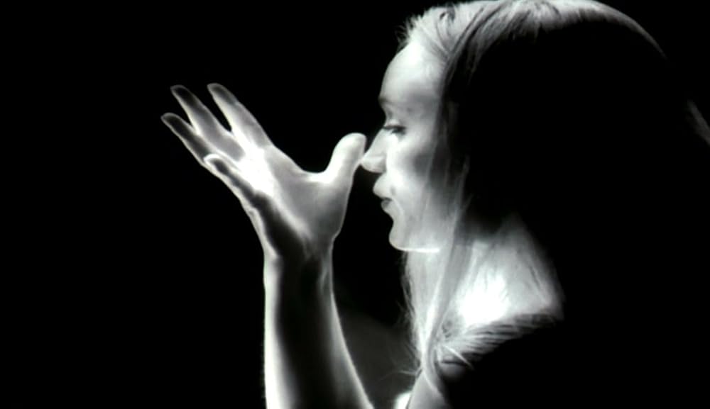 ナコイカッツィの画像