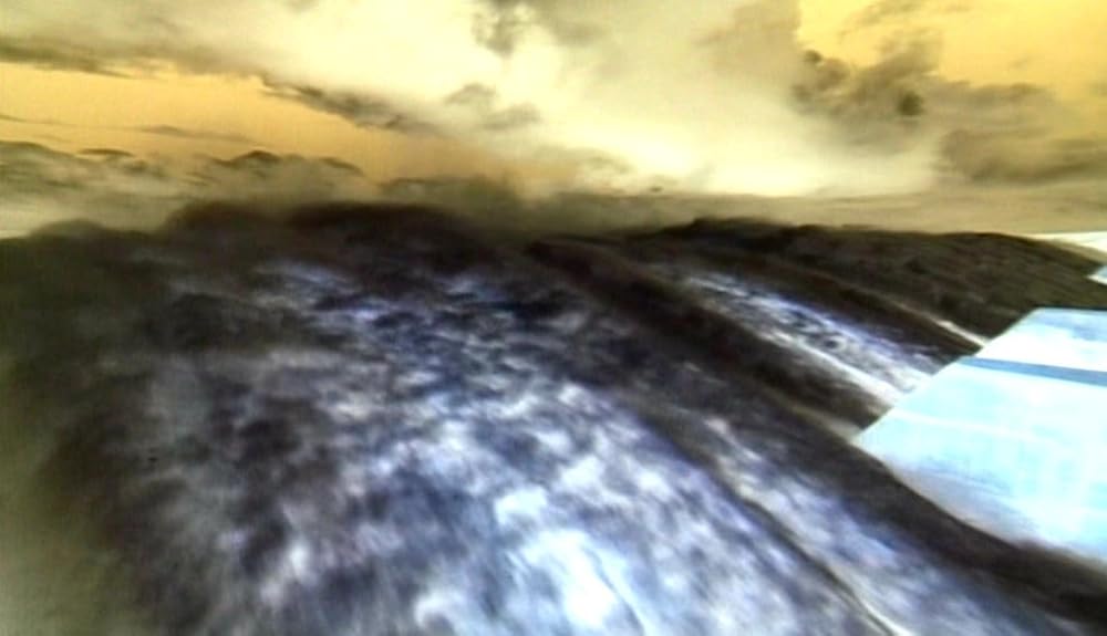 ナコイカッツィの画像