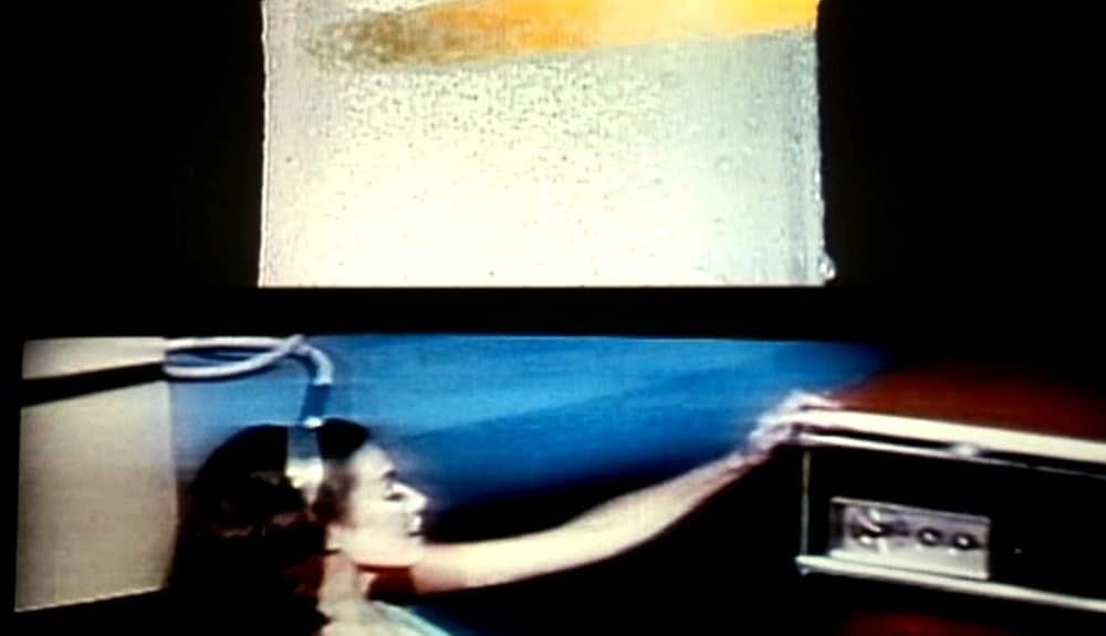 ナコイカッツィの画像