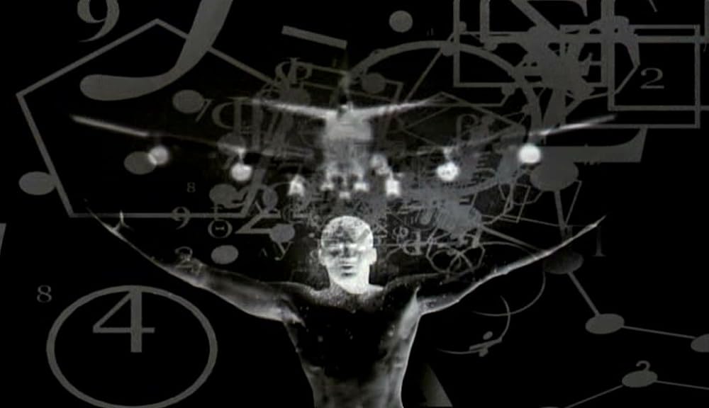 ナコイカッツィの画像