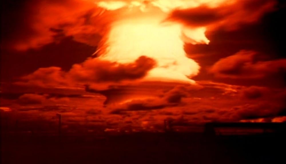 ナコイカッツィの画像