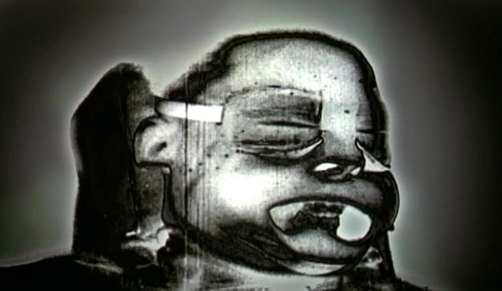 ナコイカッツィの画像