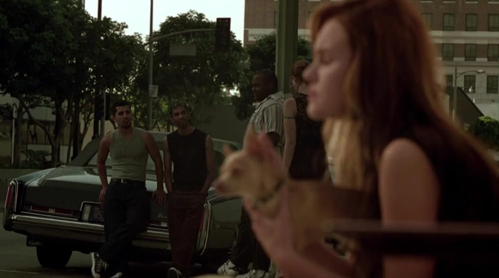 ワンダーランドの画像