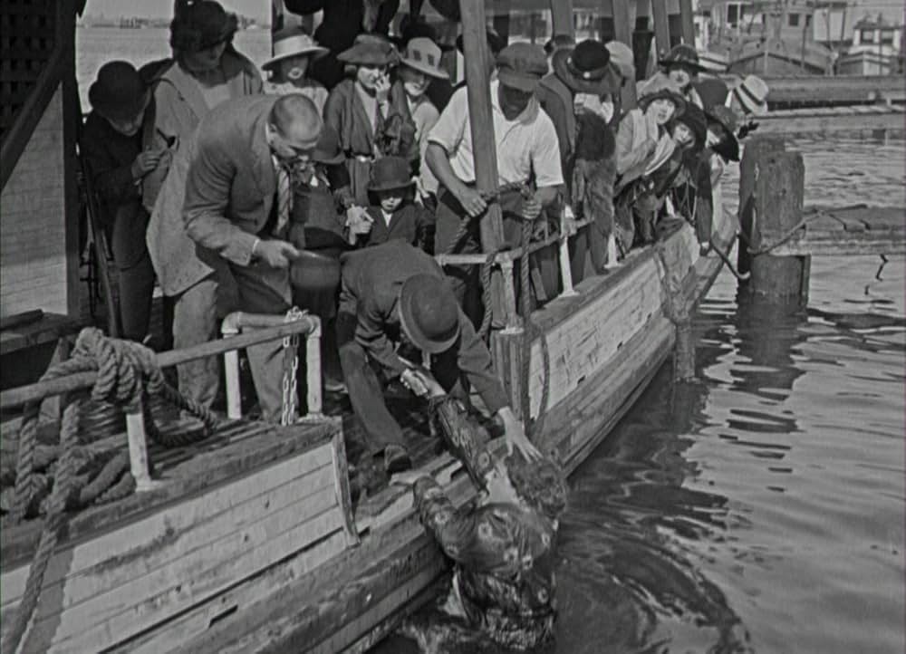 一日の行楽の画像