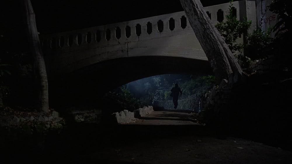 ソサエティーの画像