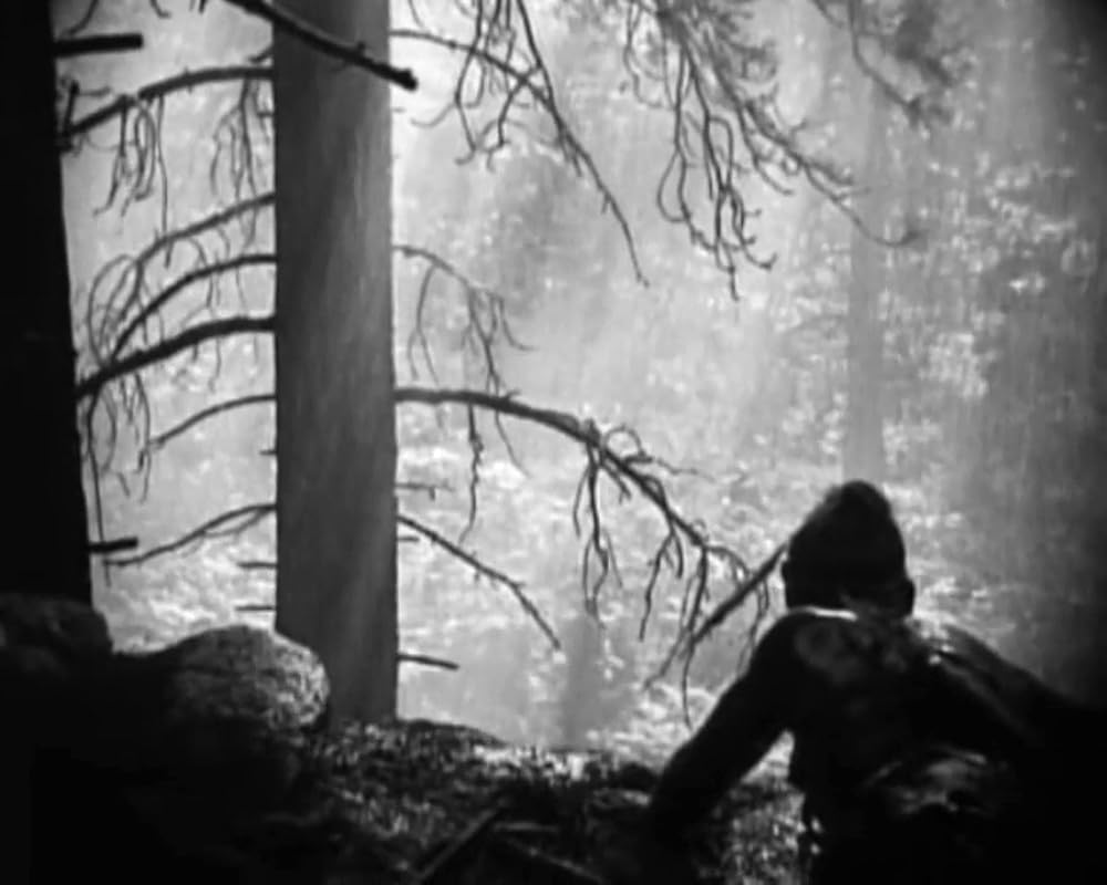 モヒカン族の最後の画像