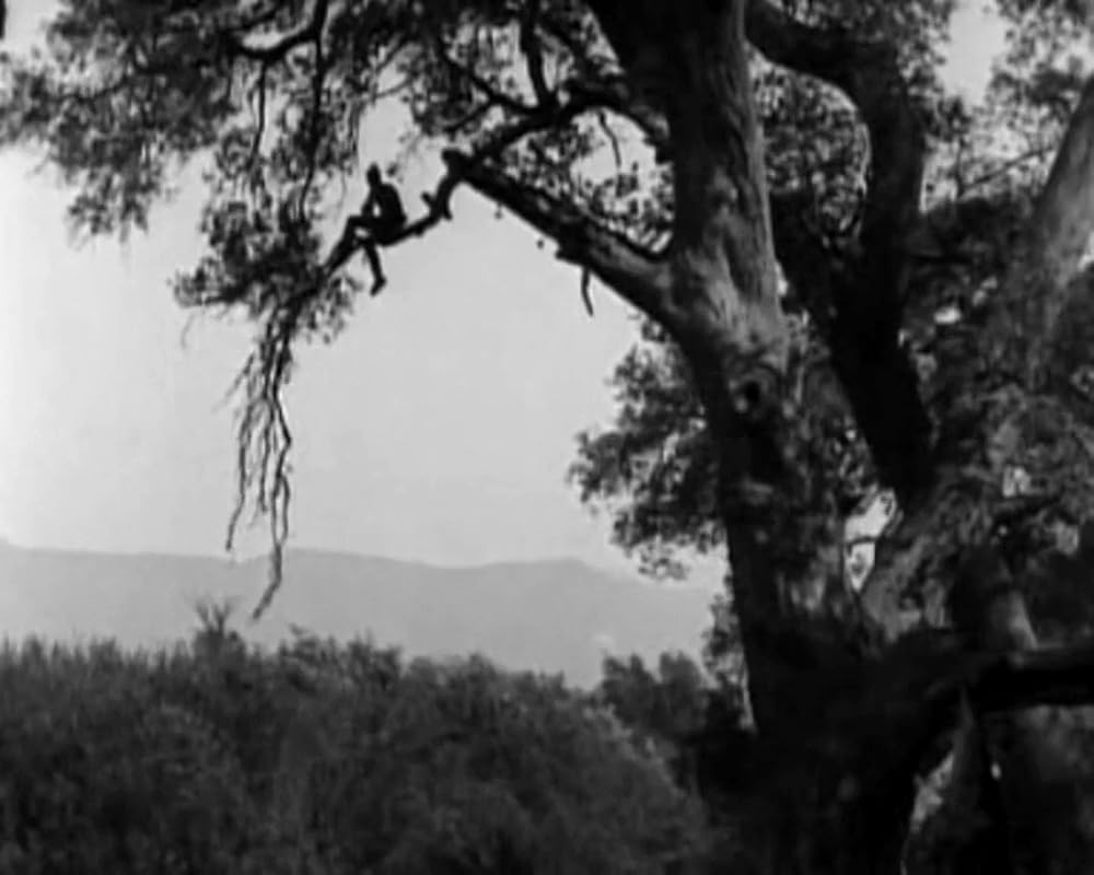 モヒカン族の最後の画像