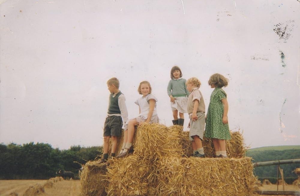 ラヴェンダーの咲く庭での画像