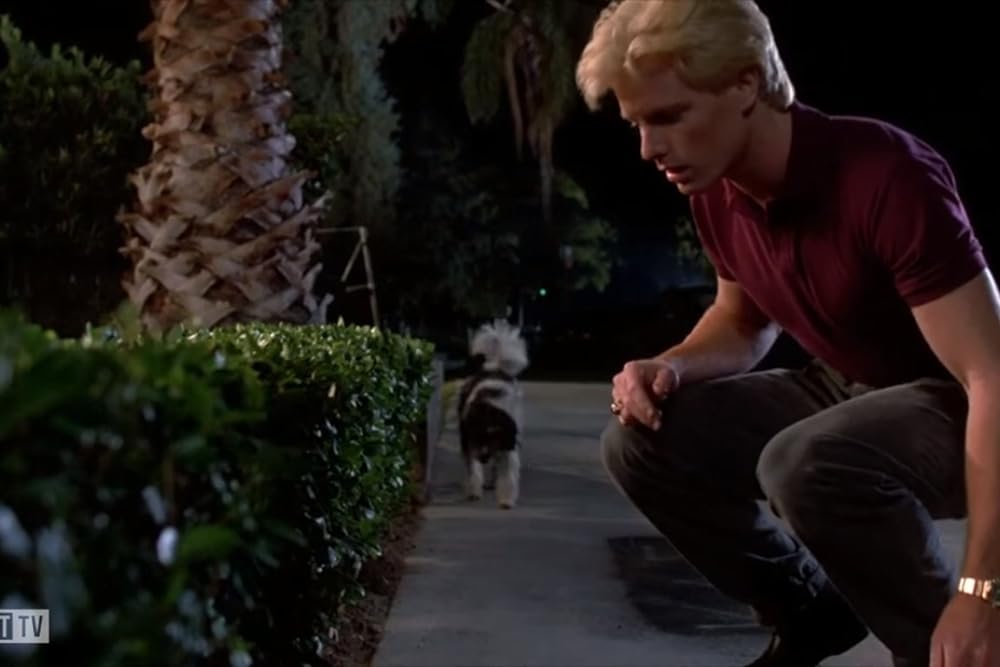 クリープスの画像