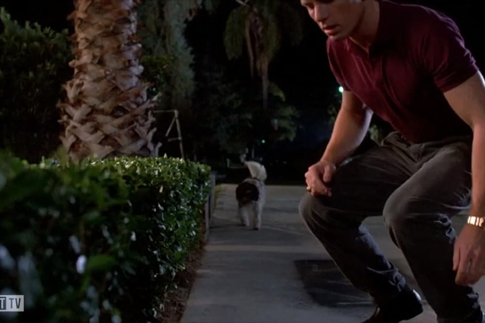 クリープスの画像