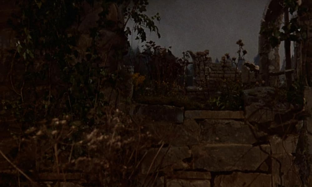 吸血鬼サーカス団の画像