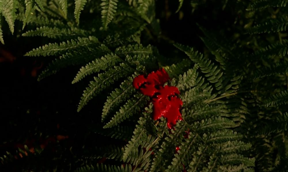 吸血鬼サーカス団の画像