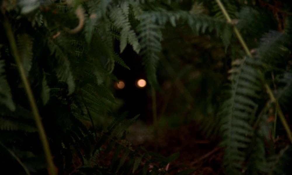 吸血鬼サーカス団の画像