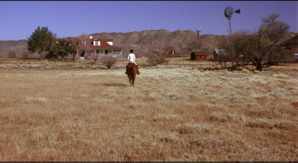 レッドロック／裏切りの銃弾の画像