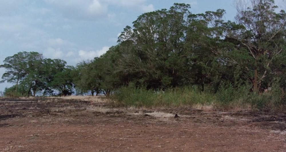アガサ・クリスティー／サファリ殺人事件の画像
