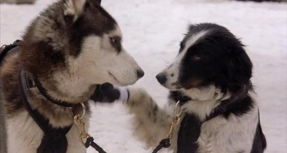 スノー・ドッグの画像