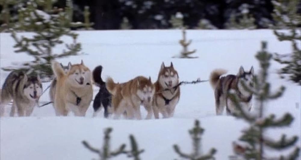 スノー・ドッグの画像