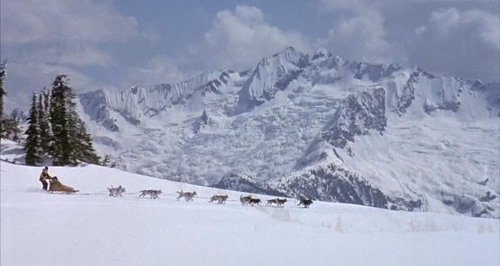 スノー・ドッグの画像