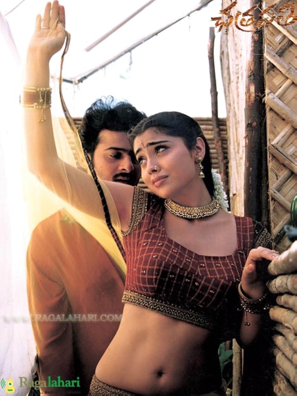 チャトラパティの画像