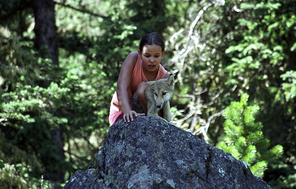 キムと森のオオカミの画像