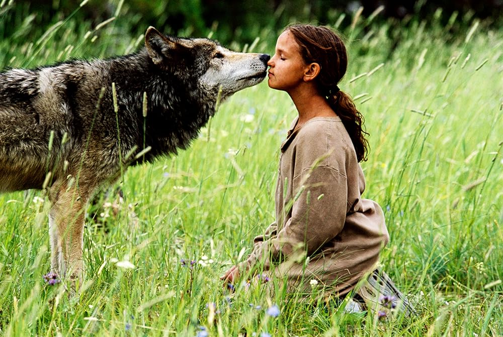 キムと森のオオカミの写真