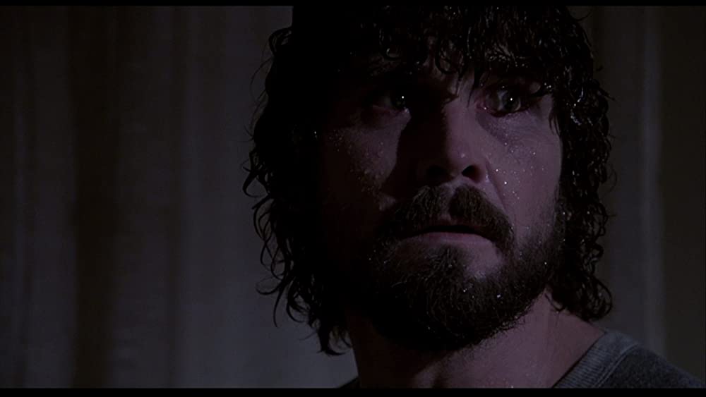 悪魔の棲む家の画像