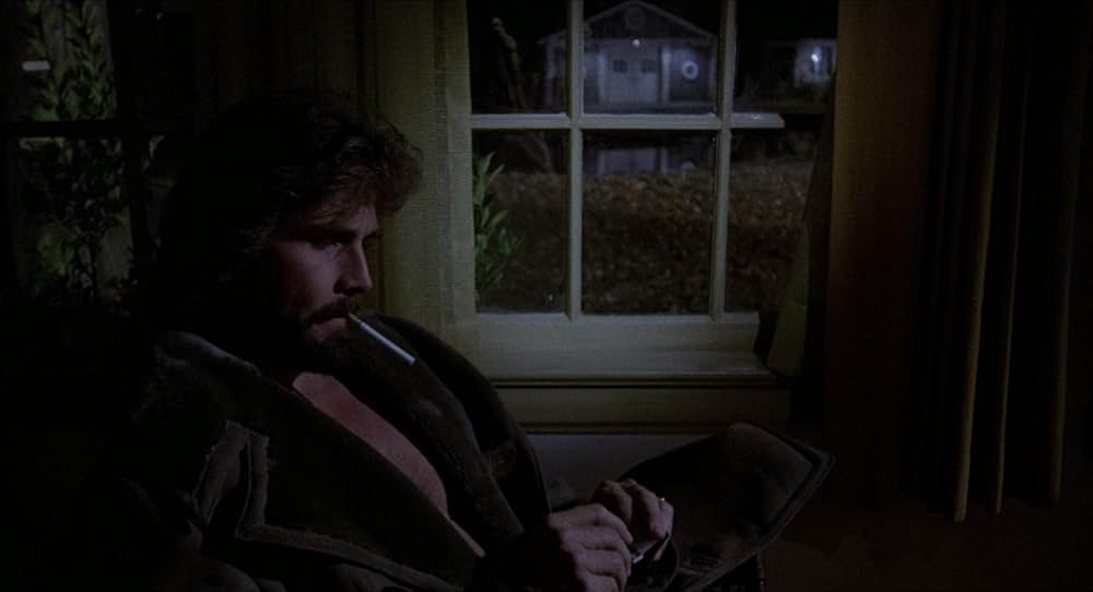 「悪魔の棲む家」の画像