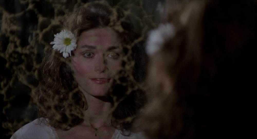 「悪魔の棲む家」の画像