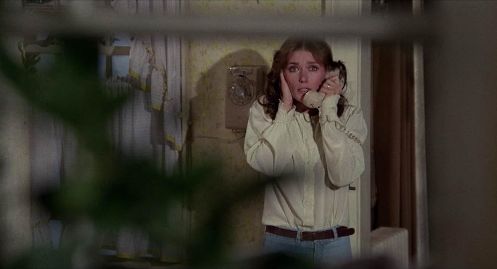 「悪魔の棲む家」の画像