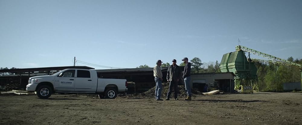 パーマーの画像