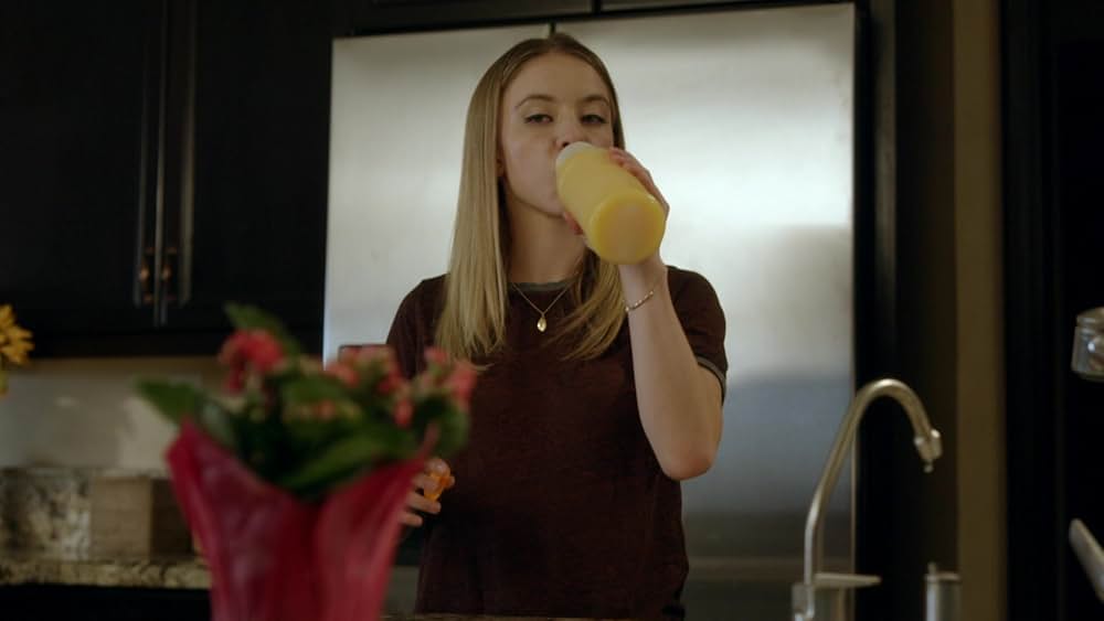 フェイク・ガール 偽りの少女の画像