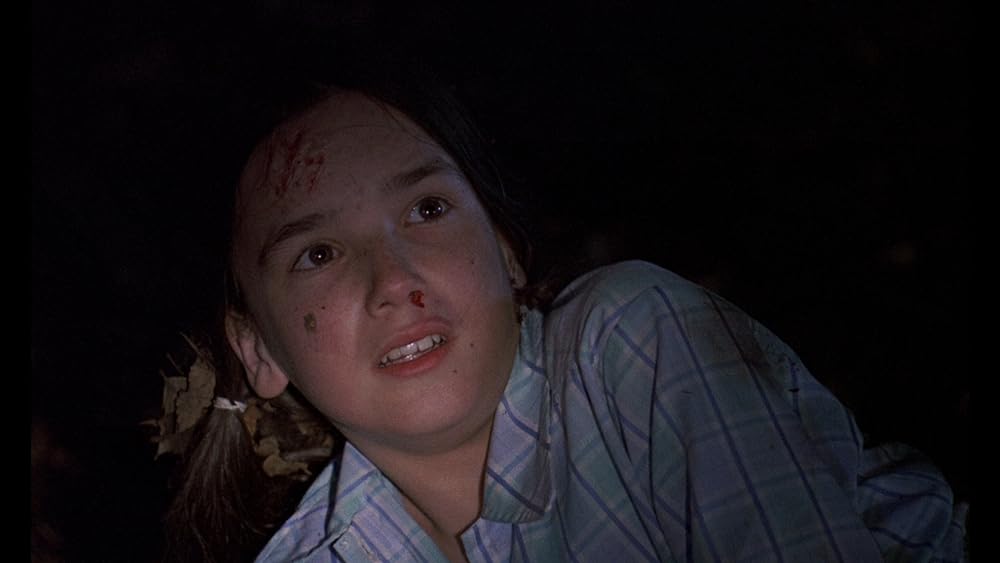 怒りの刑事の画像