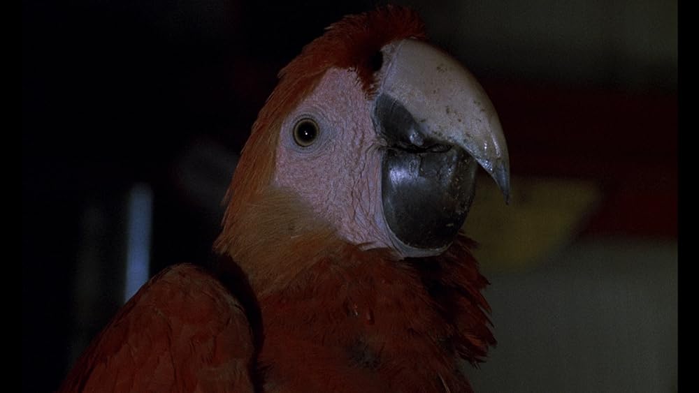 怒りの刑事の画像