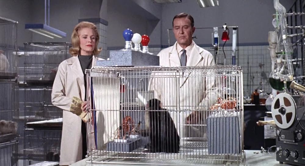 X線の眼を持つ男の画像