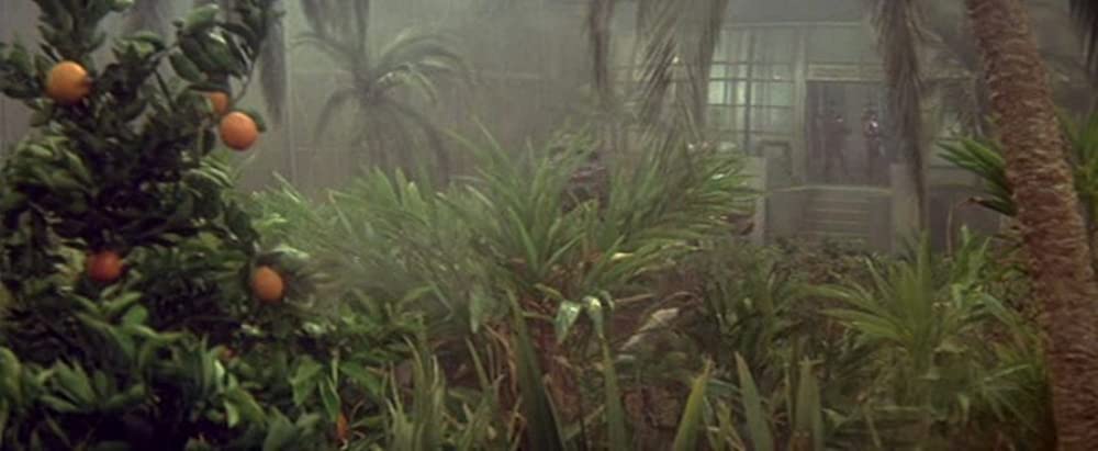 ブラックホールの画像