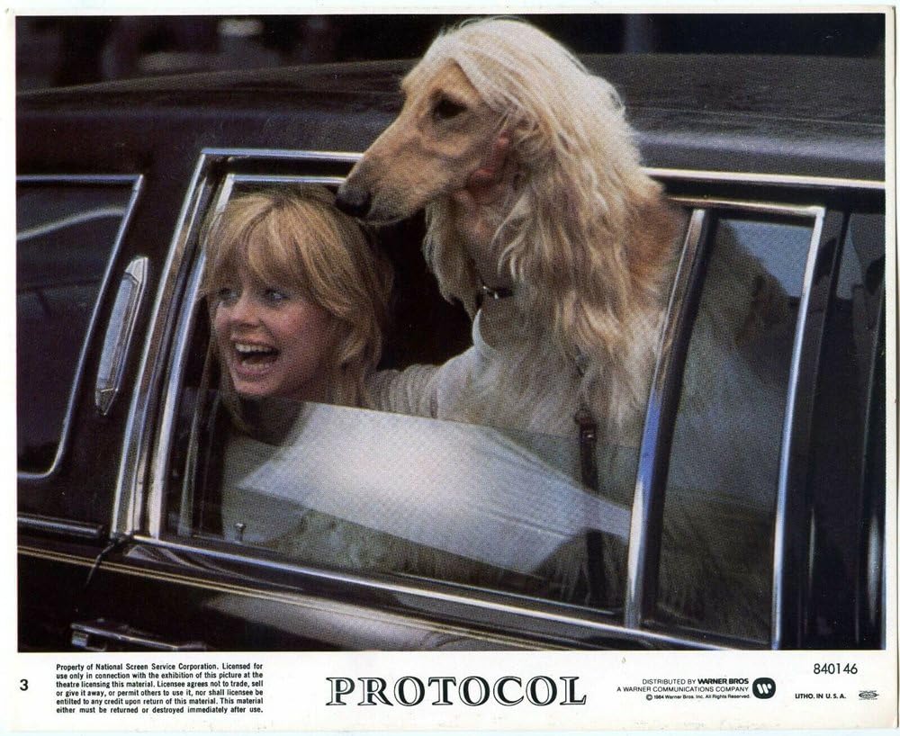 アメリカ万才の画像