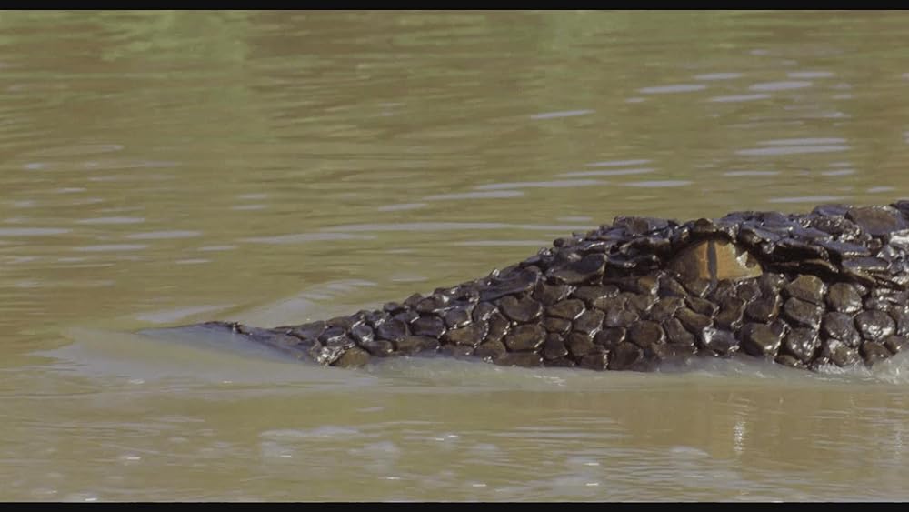 キラー・クロコダイル／怒りの逆襲の画像