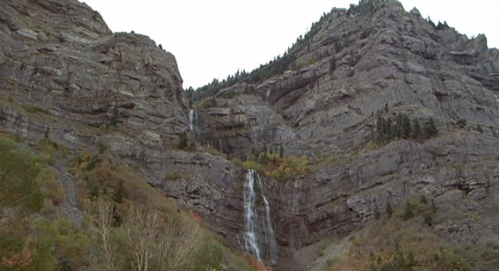 サバンナ・スマイルの画像