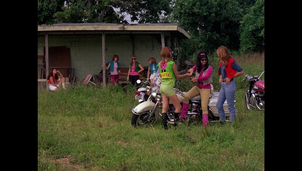 シー・デビルズ・オン・ホイールズの画像