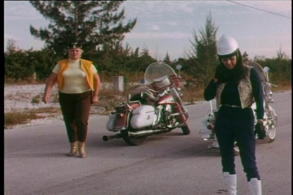 シー・デビルズ・オン・ホイールズの画像