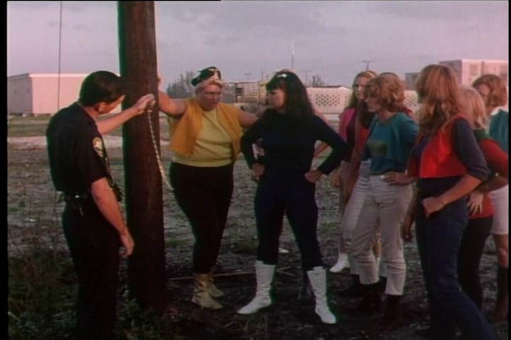 シー・デビルズ・オン・ホイールズの画像