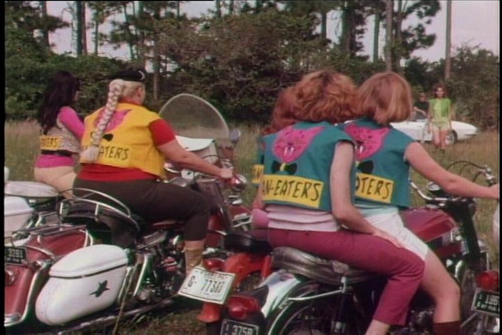 シー・デビルズ・オン・ホイールズの画像